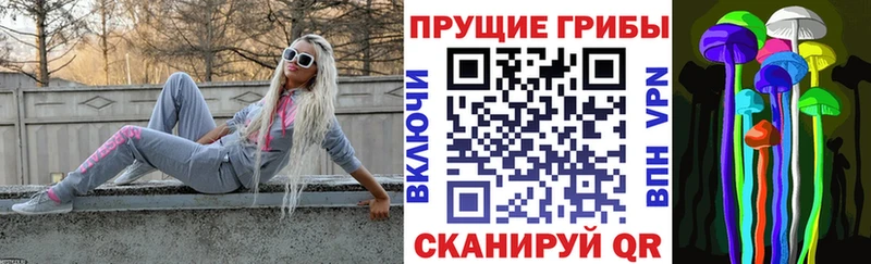 дарк нет как зайти  Колпашево  Галлюциногенные грибы мицелий  дарнет шоп 