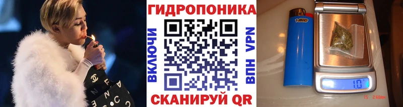 Шишки марихуана марихуана  Колпашево 